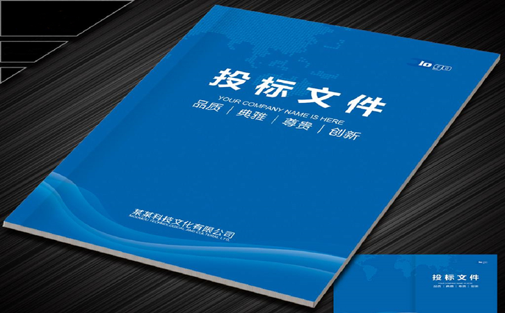 文件标书